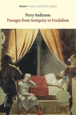 bokomslag Passages from Antiquity to Feudalism