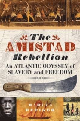 bokomslag The Amistad Rebellion