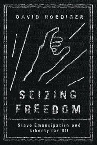 bokomslag Seizing Freedom