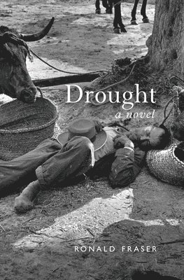 bokomslag Drought