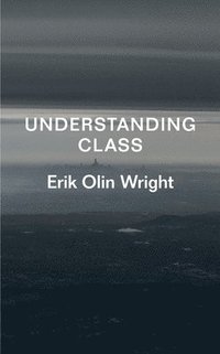 bokomslag Understanding Class