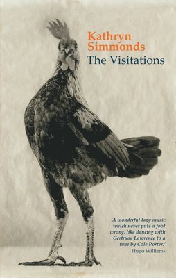 Kathryn Simmonds - Visitations, Häftad