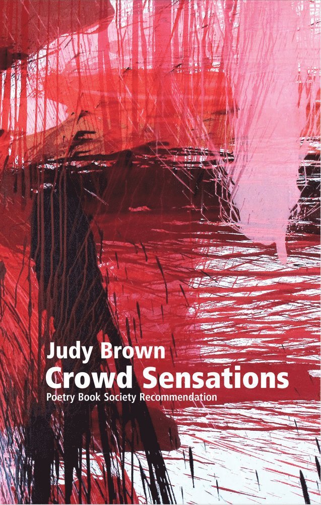 Judy Brown - Crowd Sensations, Häftad