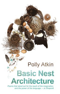 bokomslag Basic Nest Architecture