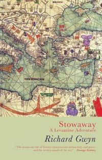 bokomslag Stowaway