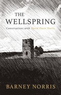 bokomslag Wellspring