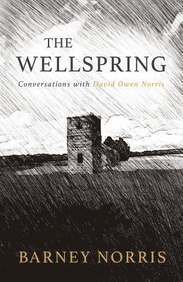 bokomslag Wellspring