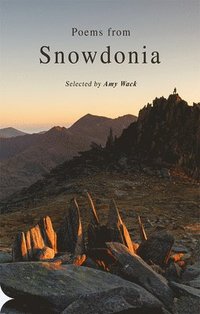 bokomslag Poems from Snowdonia