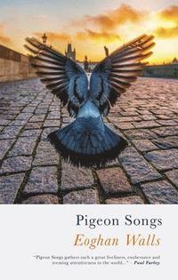 bokomslag Pigeon Songs