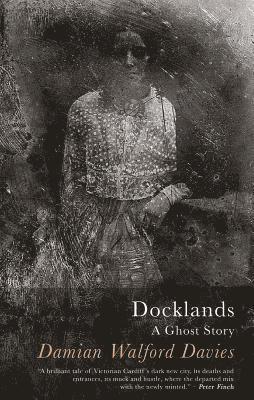Damian Walford Davies - Docklands, Häftad