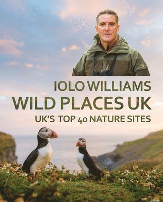 bokomslag Wild Places UK