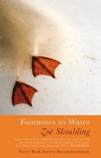 bokomslag Footnotes to Water