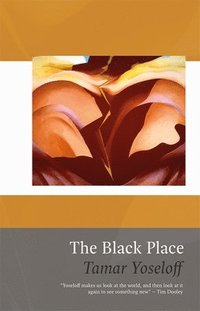 bokomslag The Black Place