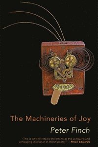 bokomslag The Machineries of Joy