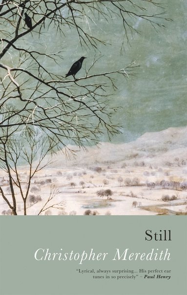 Christopher Meredith - Still, Häftad