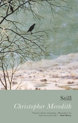 bokomslag Still
