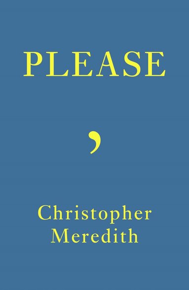 Christopher Meredith - Please, Häftad