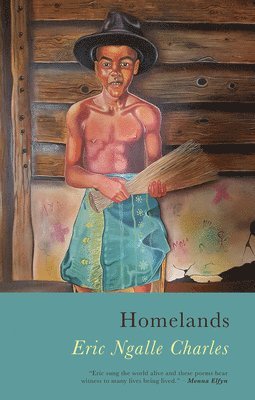Eric Ngalle Charles - Homelands, Häftad