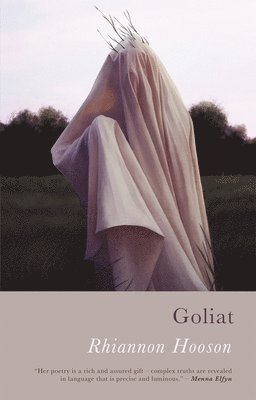 bokomslag Goliat