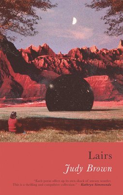 Judy Brown - Lairs, Häftad