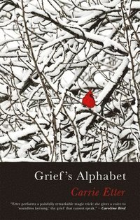 bokomslag Grief's Alphabet