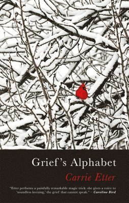 Grief’s Alphabet
