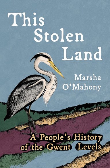 Marsha O'Mahony - This Stolen Land, Häftad