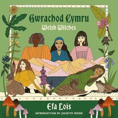 bokomslag Gwrachod Cymru | Welsh Witches