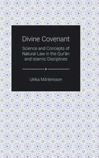 bokomslag Divine Covenant