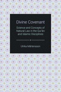 bokomslag Divine Covenant