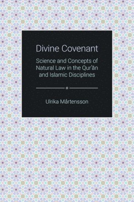 bokomslag Divine Covenant