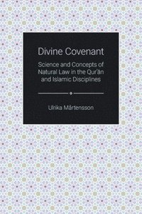 bokomslag Divine Covenant