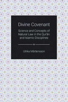 bokomslag Divine Covenant