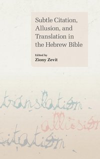 bokomslag Subtle Citation, Allusion and Translation in the Hebrew Bible