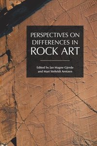 bokomslag Perspectives on Differences in Rock Art