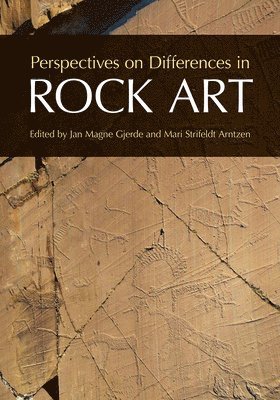 bokomslag Perspectives on Differences in Rock Art