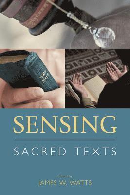 bokomslag Sensing Sacred Texts