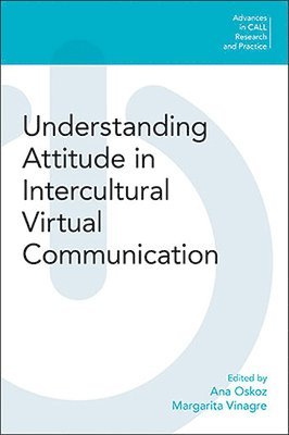 Ana Oskoz, Margarita Vinagre - Understanding Attitude in Intercultural Virtual Communication, Häftad