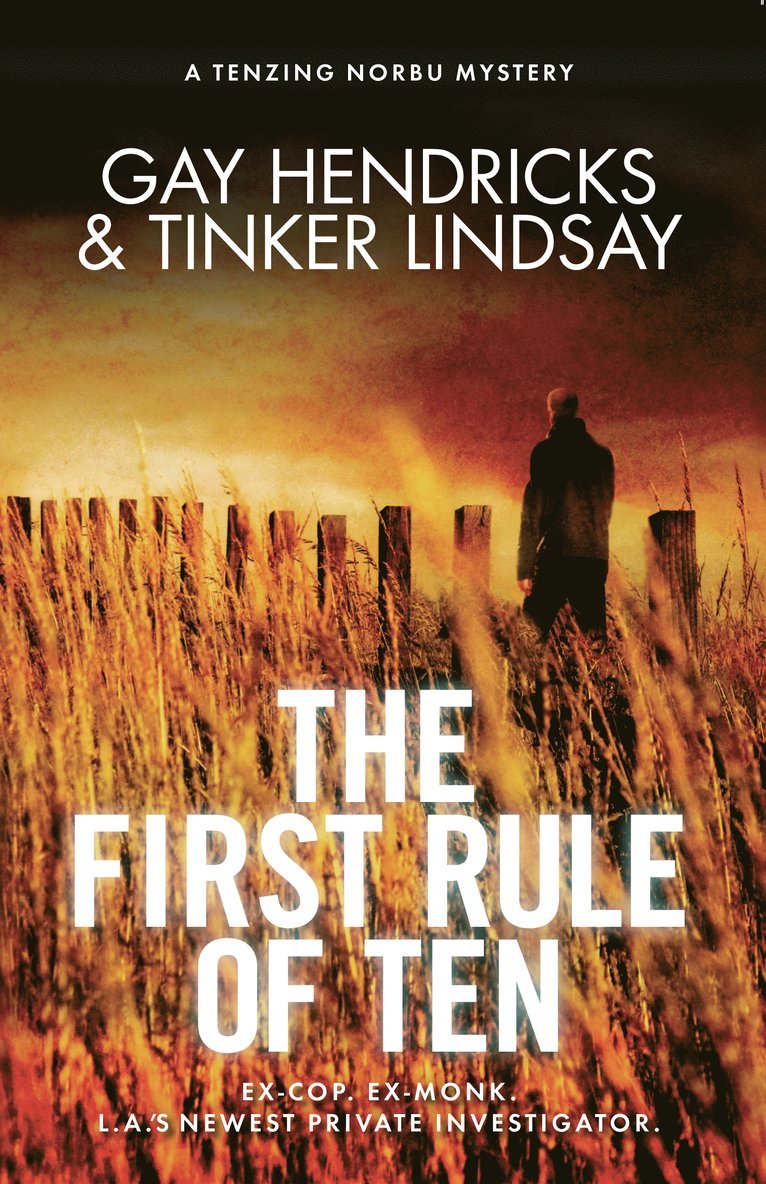 First rule of ten - a tenzing norbu mystery