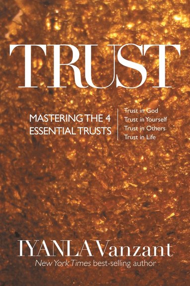 bokomslag Trust