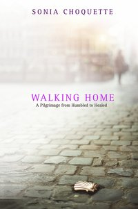 bokomslag Walking Home