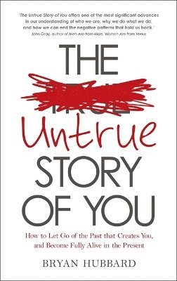 bokomslag The Untrue Story of You