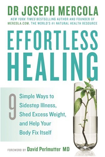 bokomslag Effortless Healing