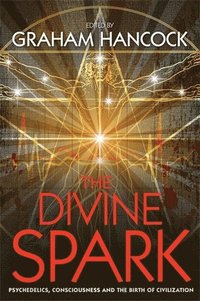 bokomslag The Divine Spark
