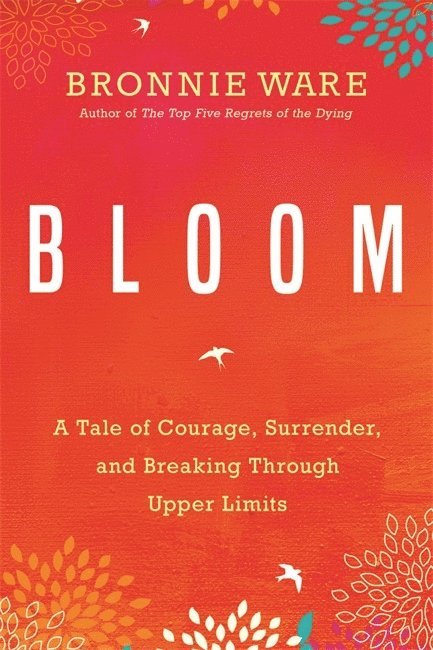 Bloom 1