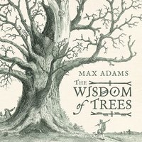 bokomslag The Wisdom of Trees