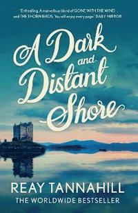 bokomslag Dark And Distant Shore