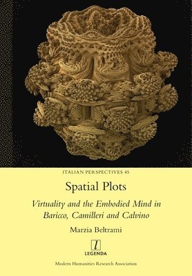 Marzia Beltrami - Spatial Plots, Häftad