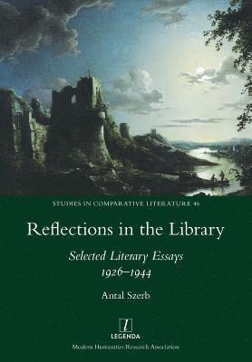 Reflections in the Library 1
