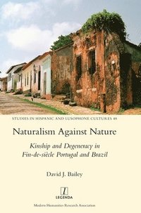 bokomslag Naturalism Against Nature